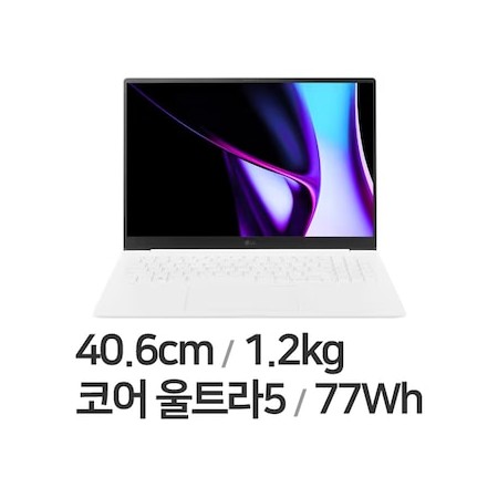 LG전자 그램 프로16 16Z90SP-KAOWK (SSD 512GB)